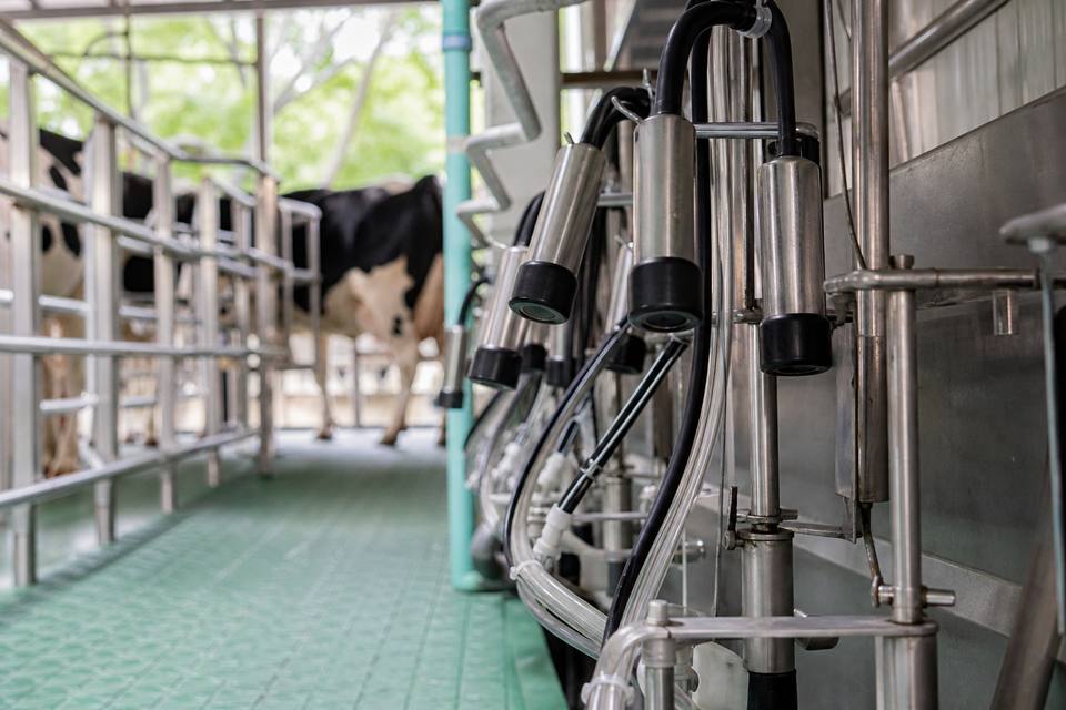 Dairy milking parlour equipment